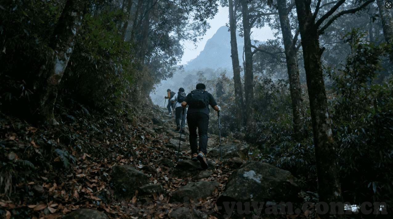 电子pg游戏-电子游戏，构建虚拟世界，启迪心灵之旅